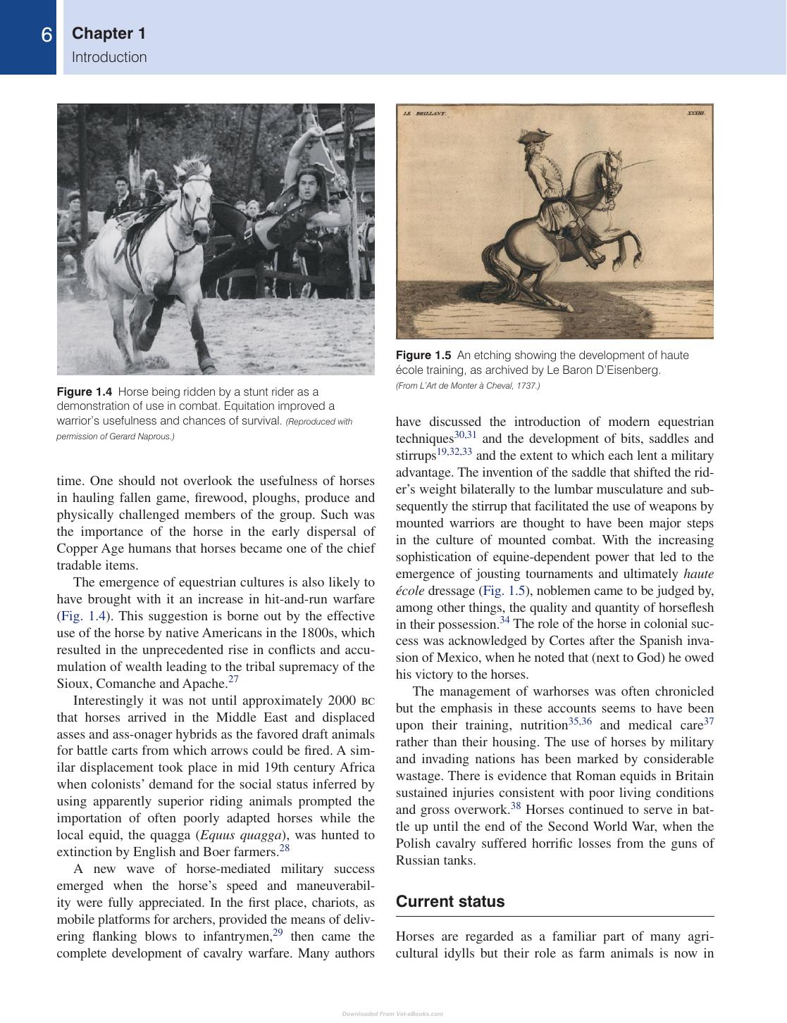 Equine Behavior A Guide For Veterinarians And Equine Scientists 2Nd Edition