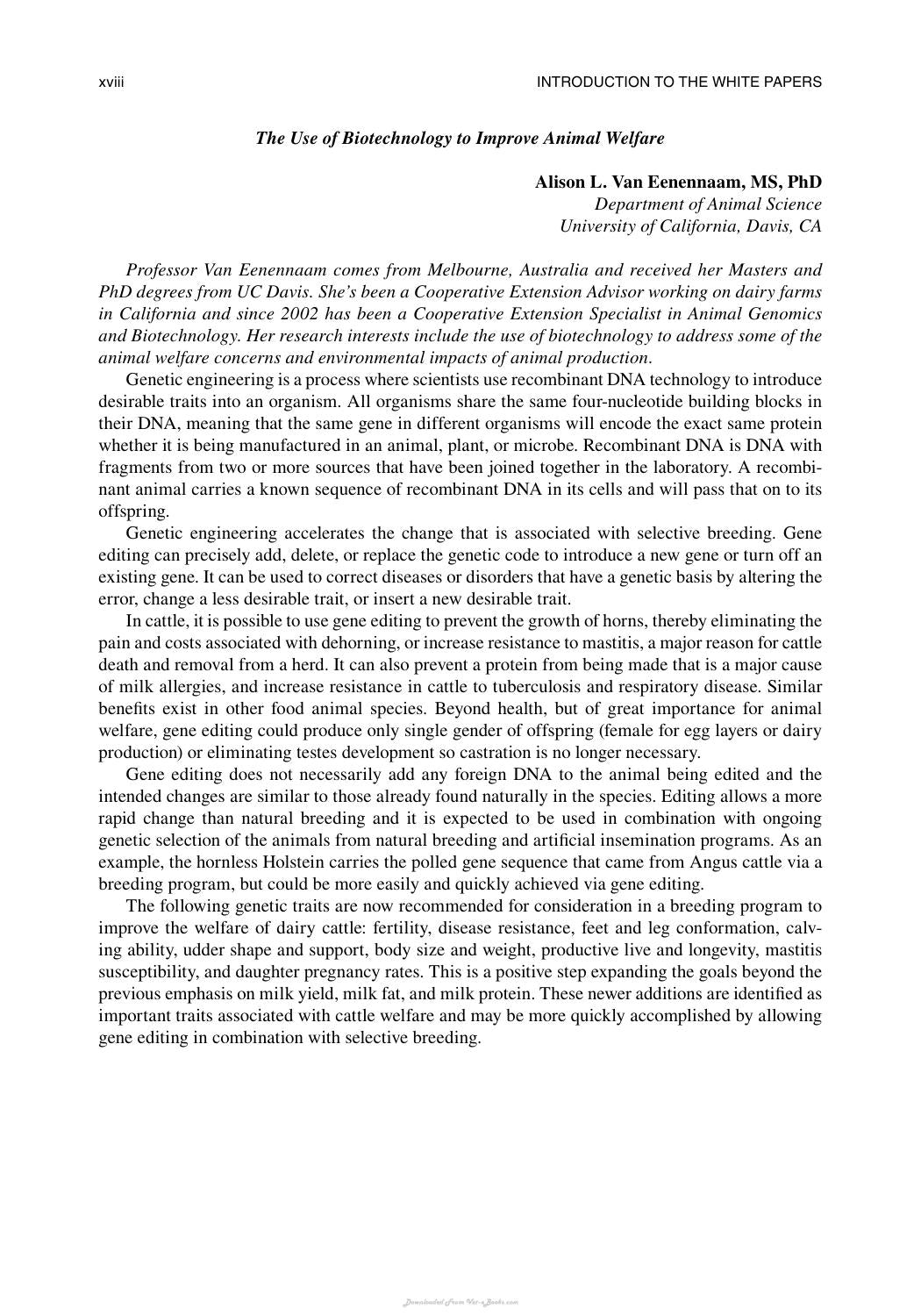 The Welfare Of Cattle
