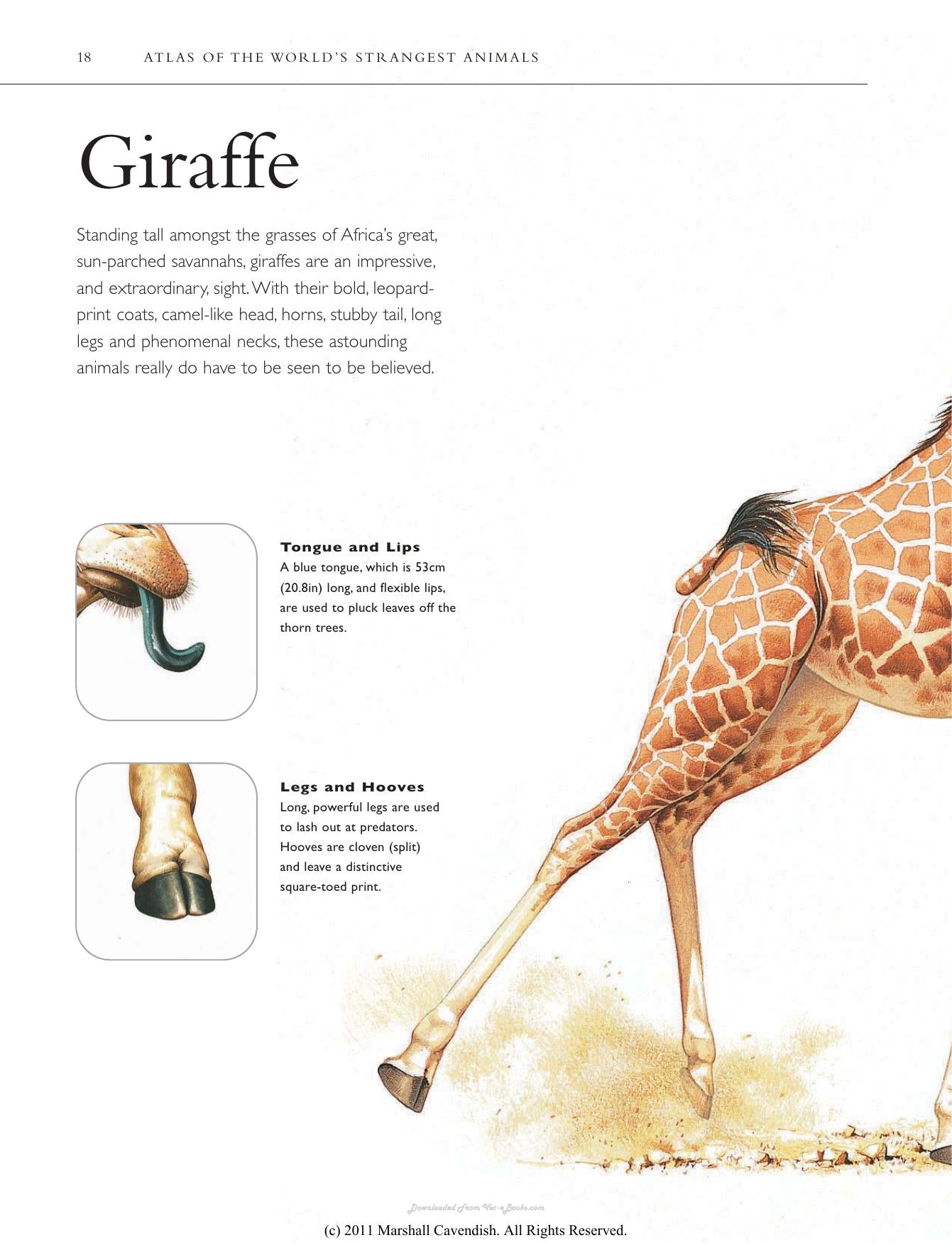 Atlas Of The Worlds Strangest Animals
