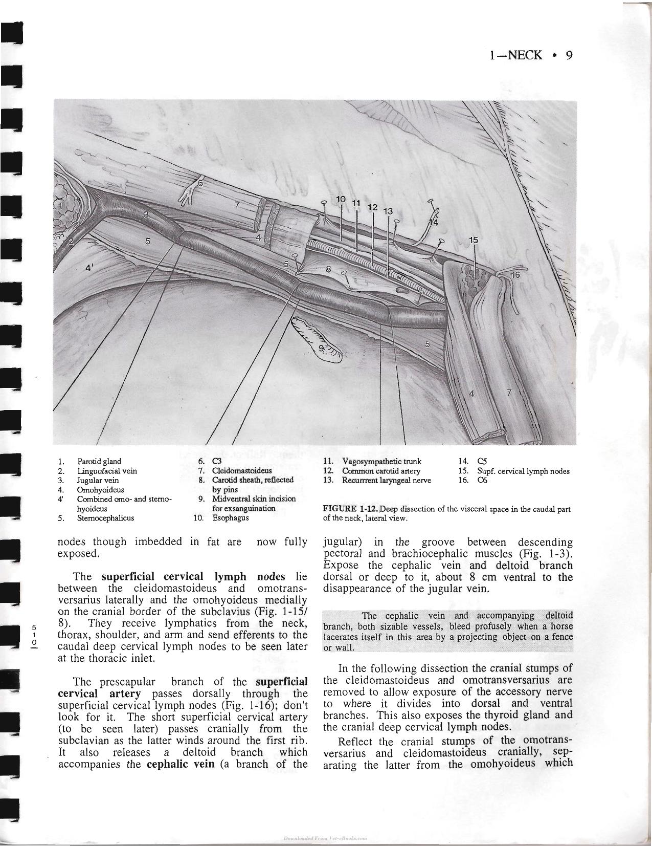 Look inside — page 19