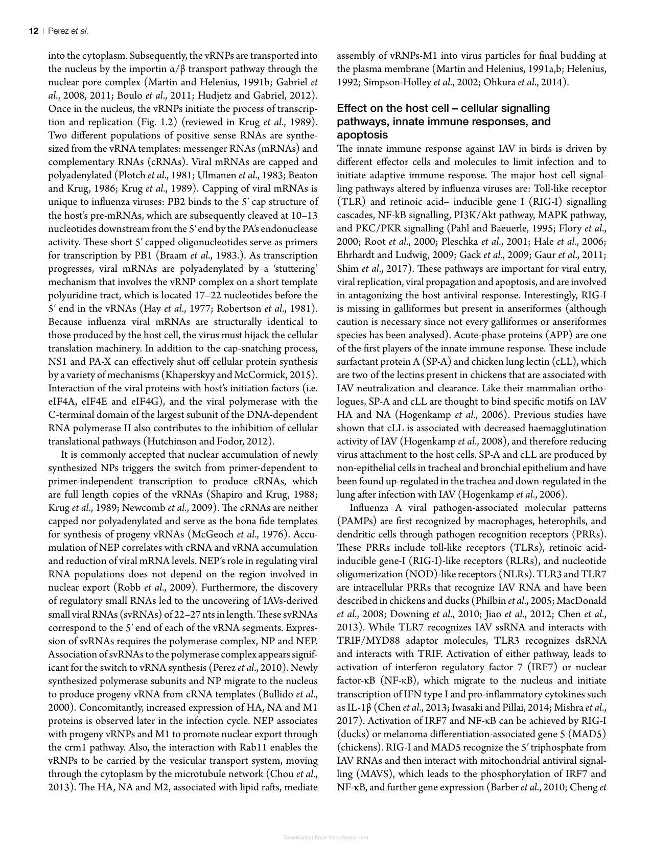Avian Virology Current Research And Future Trends