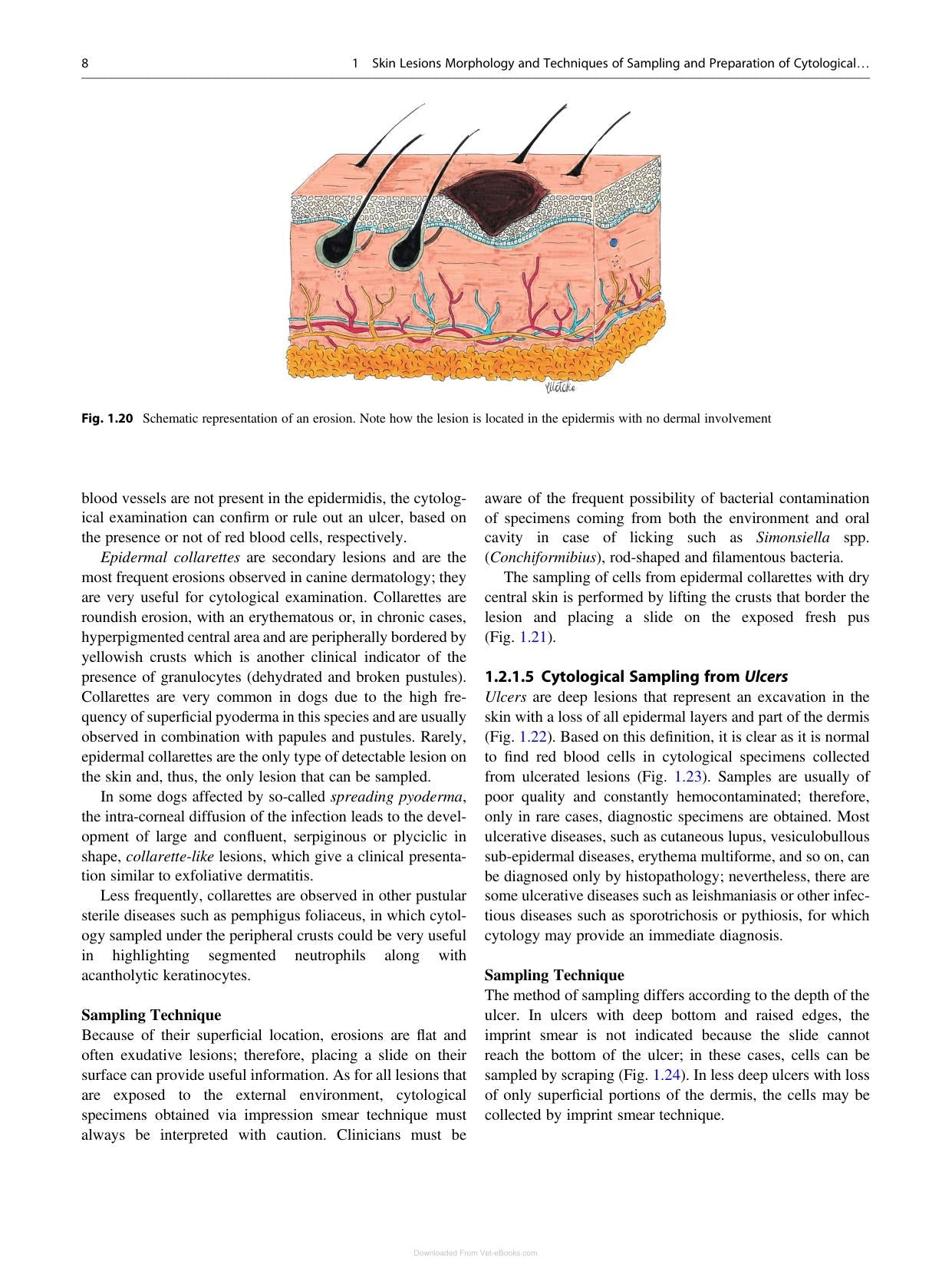 Canine And Feline Skin Cytology 2Nd Edition
