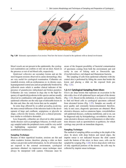 Canine and Feline Skin Cytology 2nd Edition