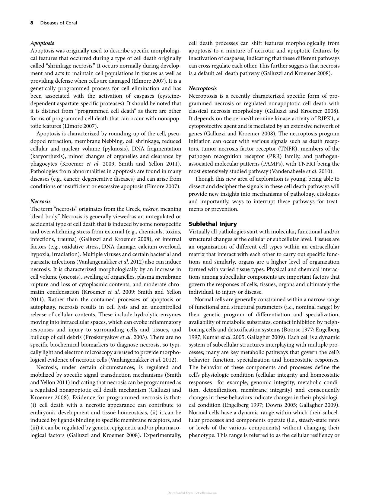 Diseases Of Coral