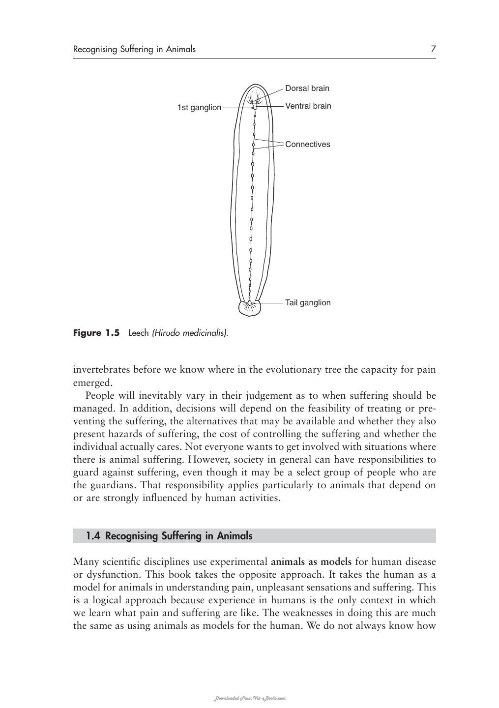 Physiology And Behaviour Of Animal Suffering