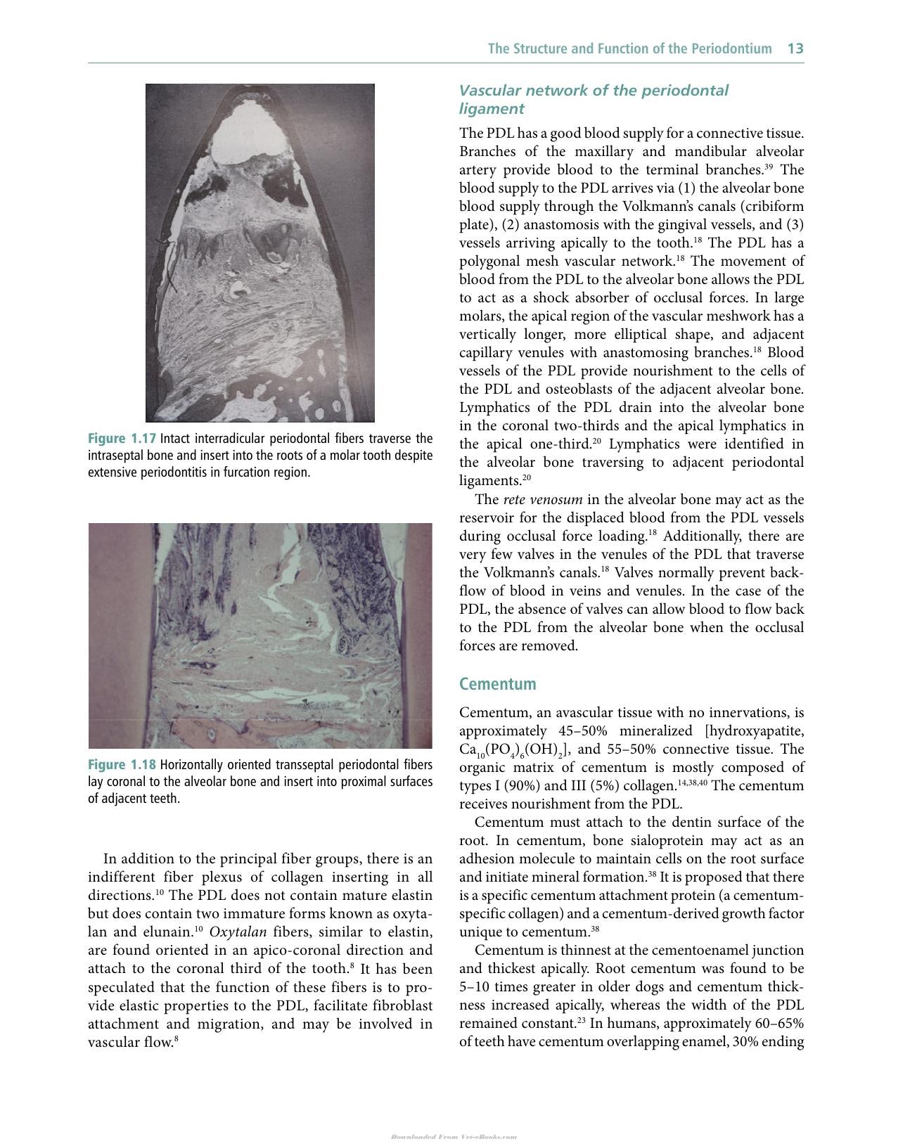 Veterinary Periodontology