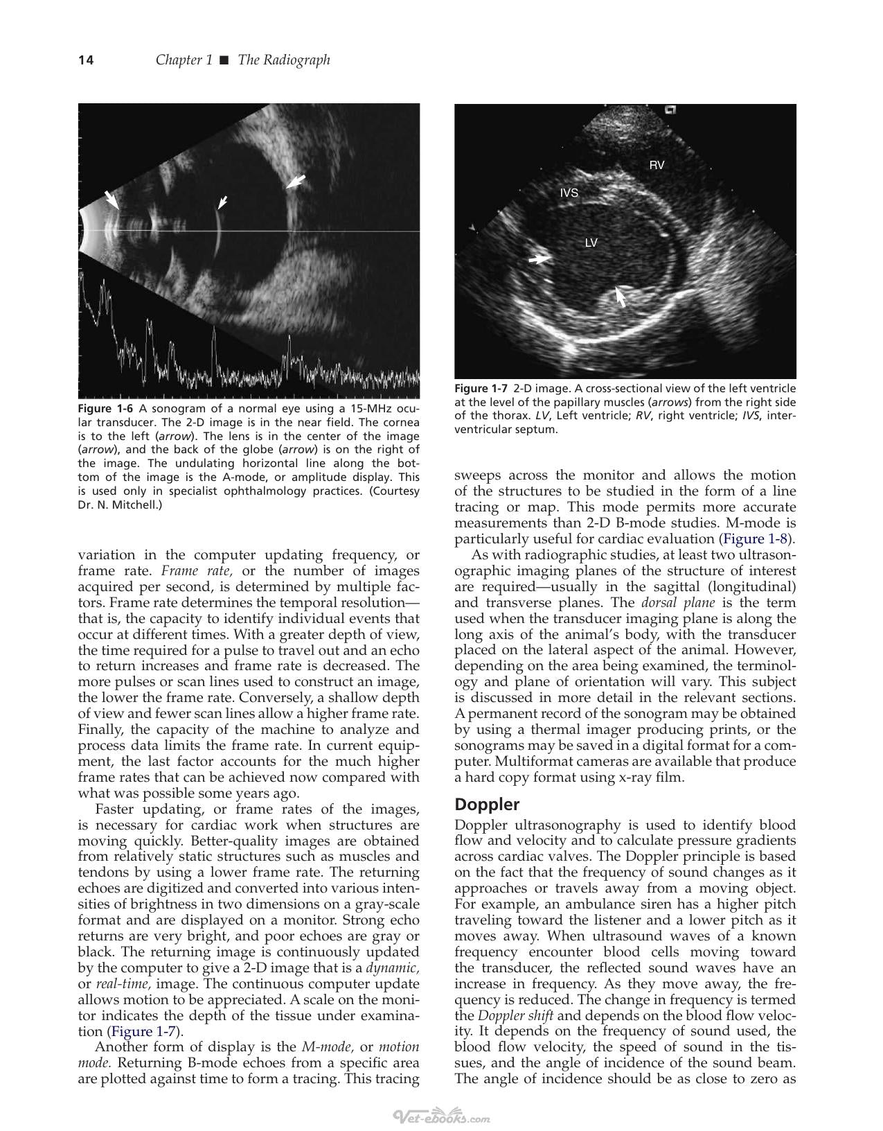 Look inside — page 19