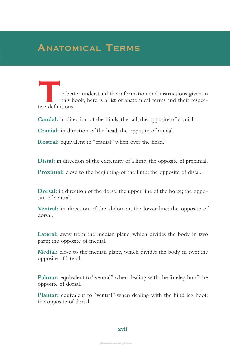 Look inside — page 19