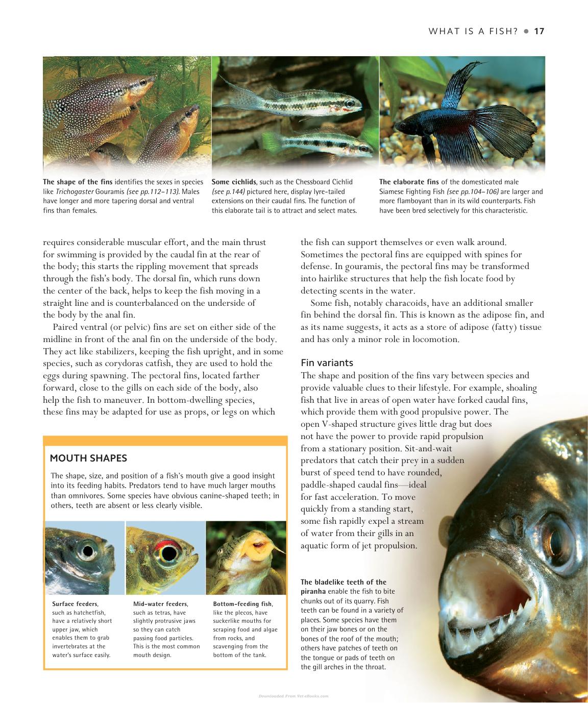 Encyclopedia Of Aquarium And Pond Fish
