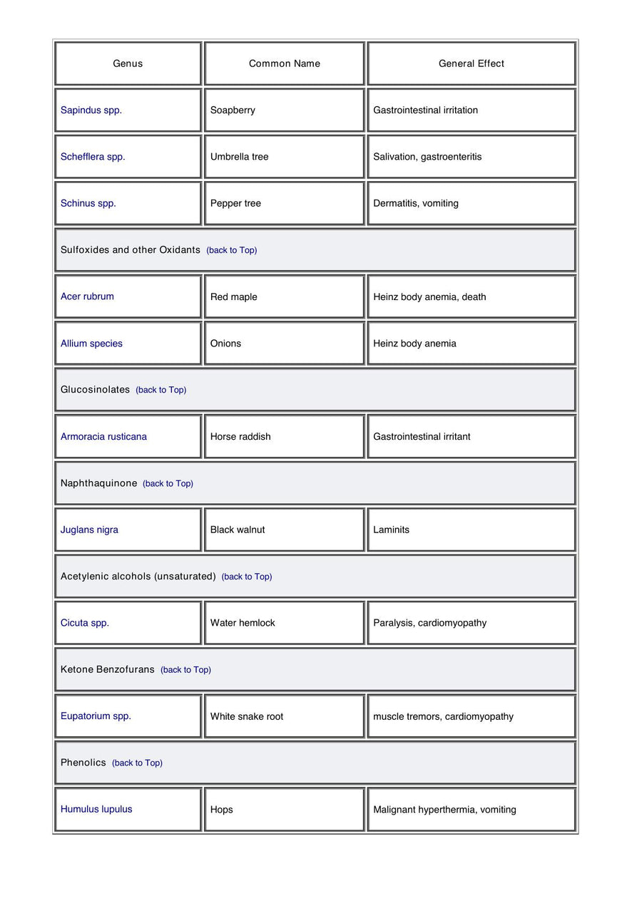 Preview page of A Guide to Poisonous House and Garden Plants