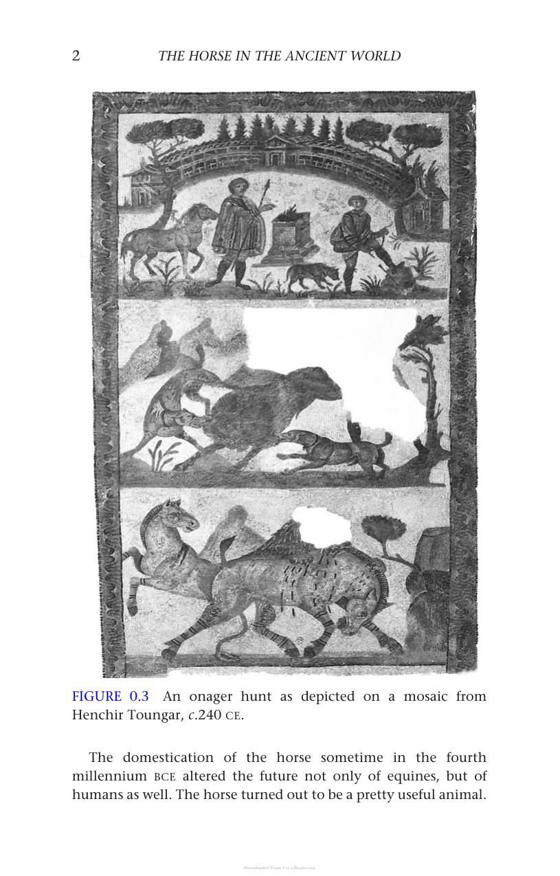 The Horse In The Ancient World From Bucephalus To The Hippodrome