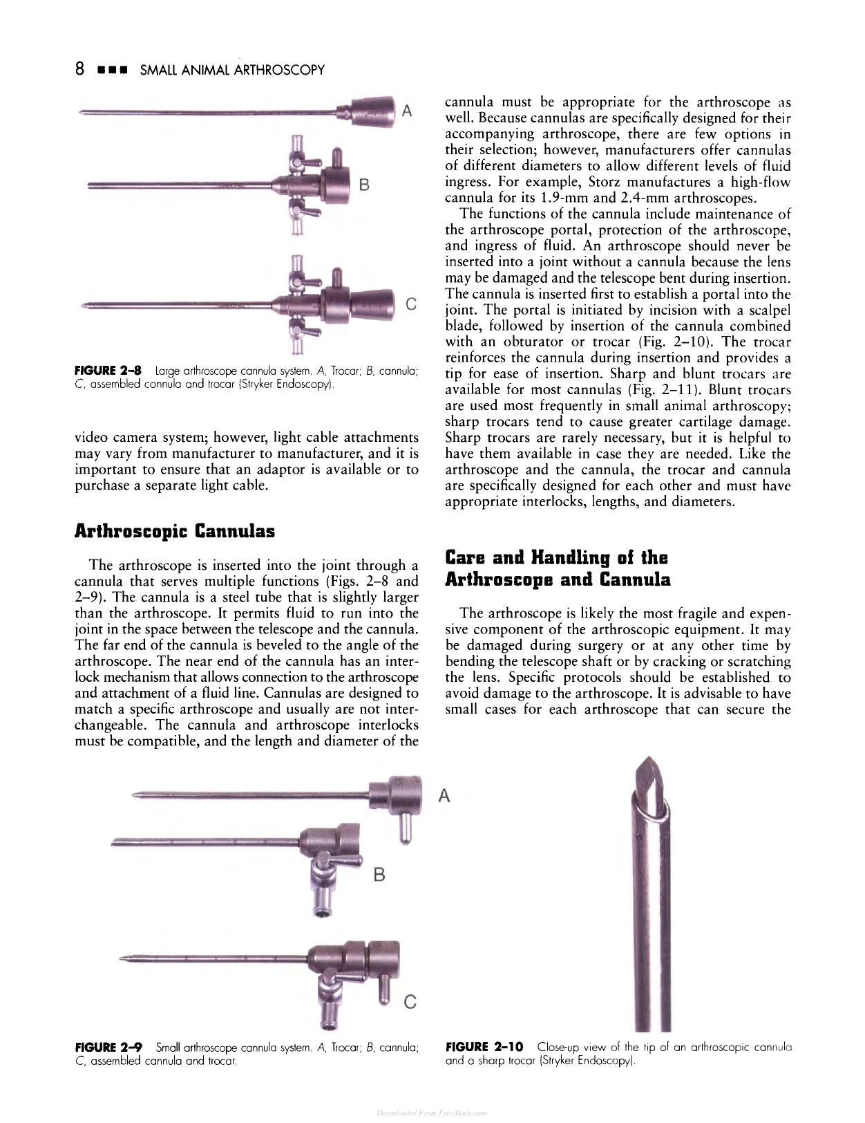 Small Animal Arthroscopy