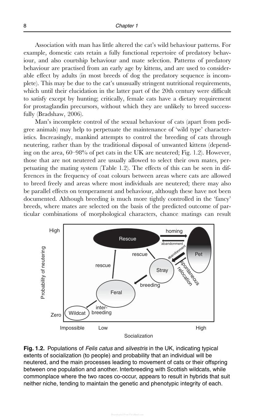 Behaviour Of The Domestic Cat 2Nd Edition