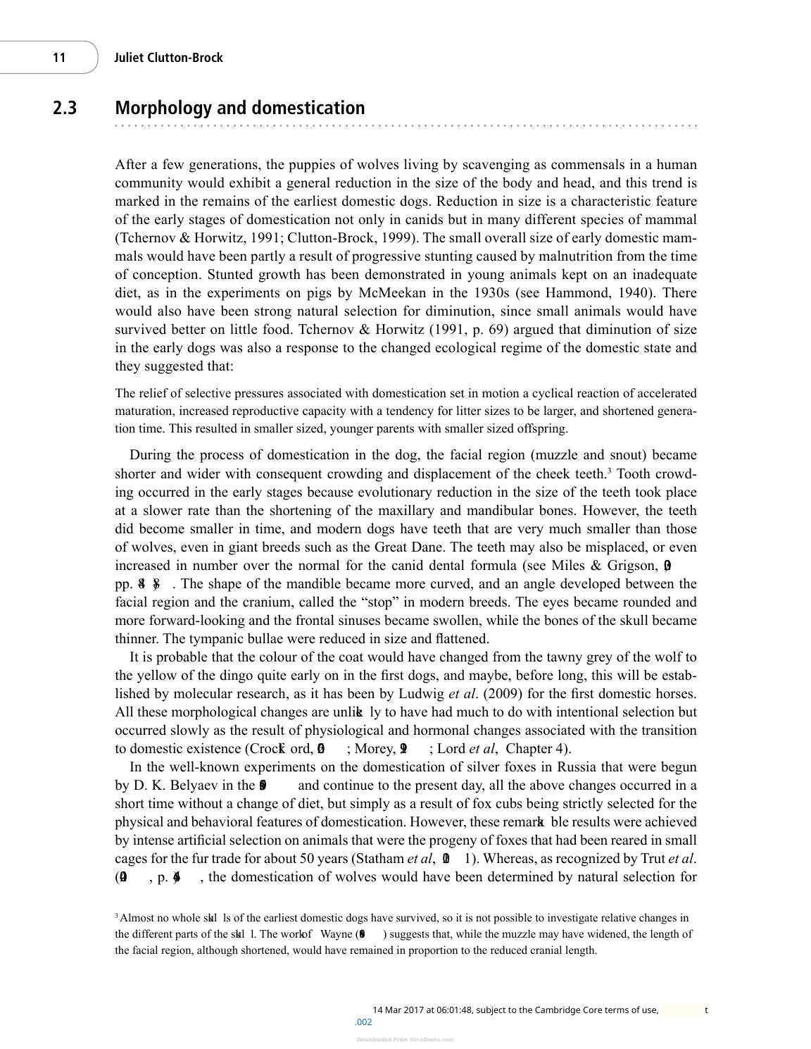 The Domestic Dog Its Evolution Behavior And Interactions With People 2Nd Edition