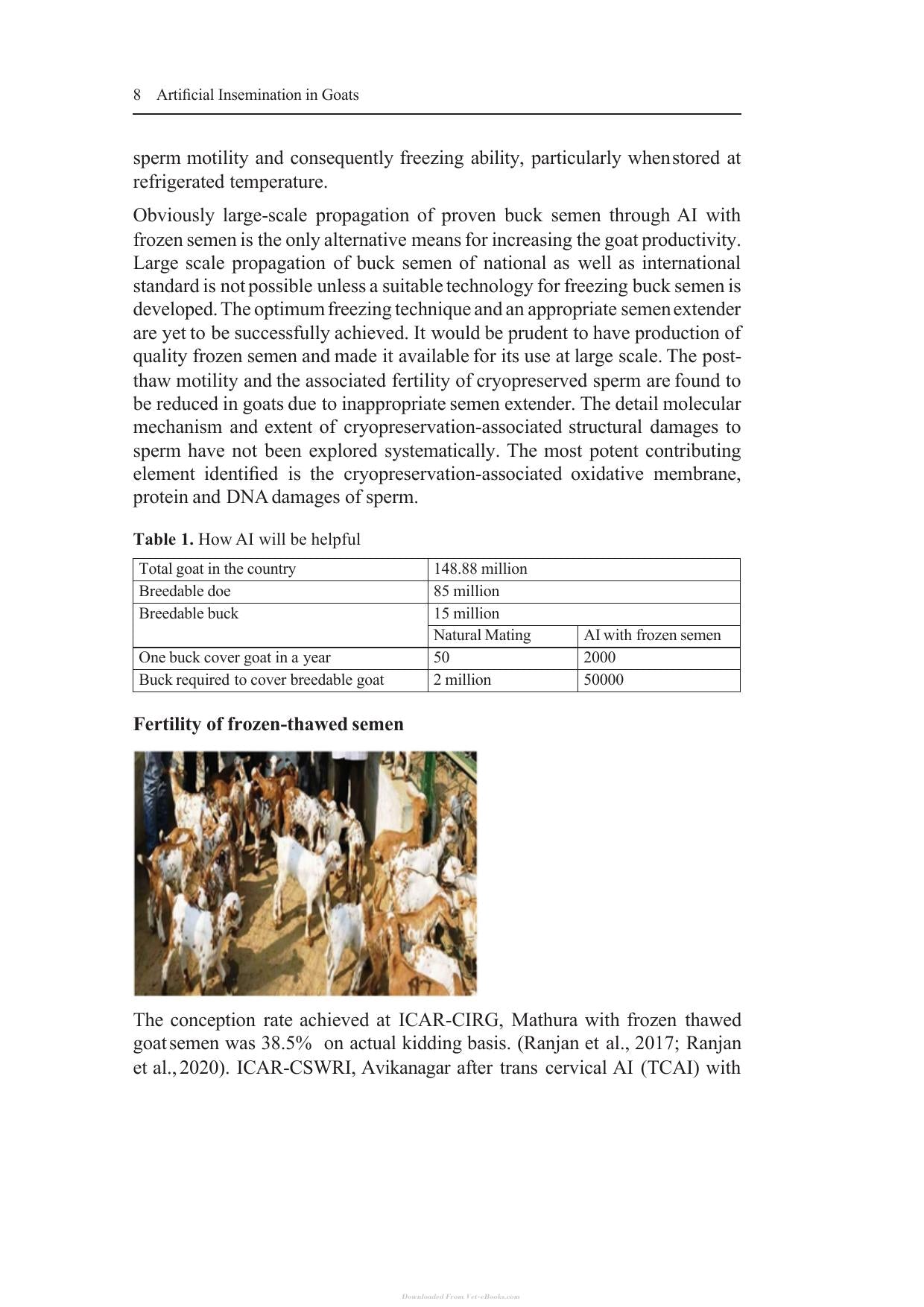 Artificial Insemination In Goats