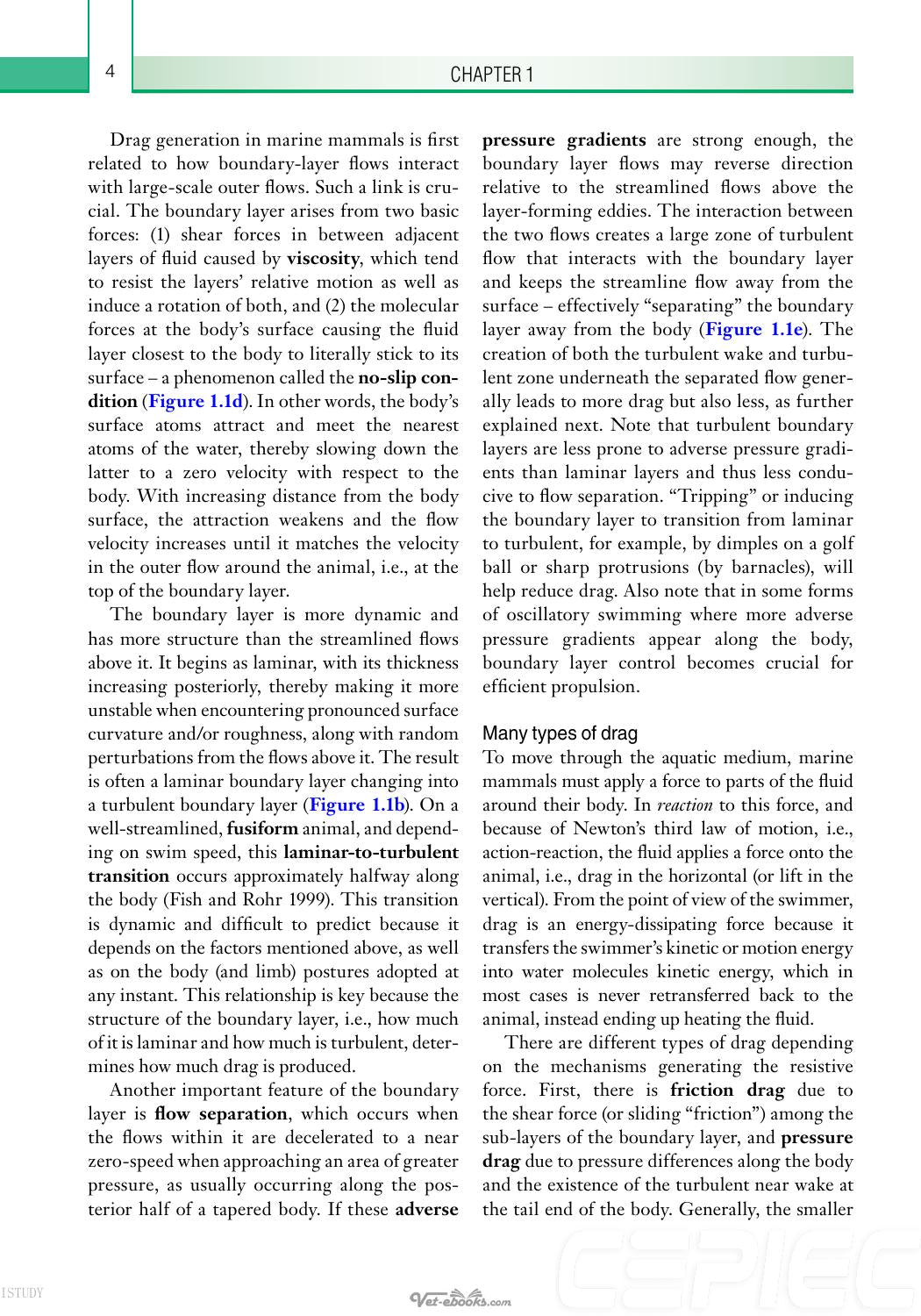 Physiology Of Marine Mammals Adaptations To The Ocean
