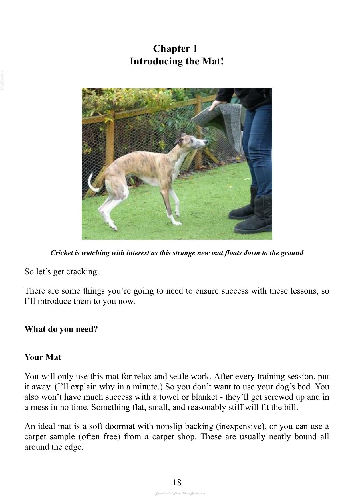 Essential Skills For A Brilliant Family Dog