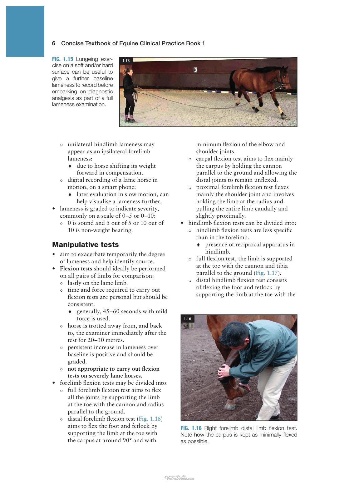 Concise Textbook Of Equine Clinical Practice Book 1 Lameness