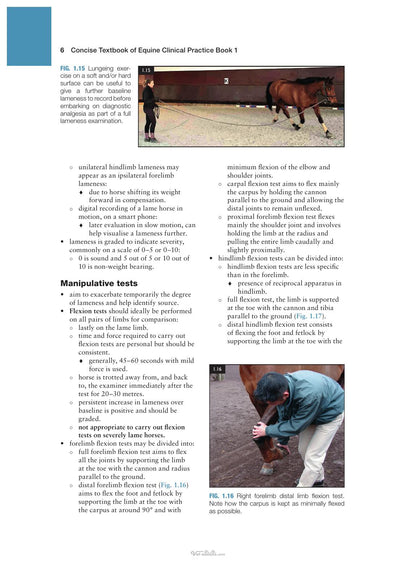 Concise Textbook of Equine Clinical Practice Book 1 Lameness