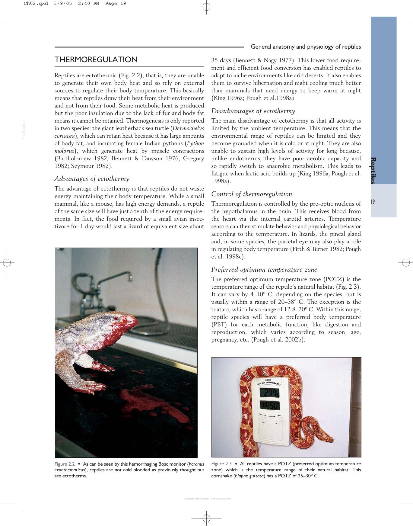 Look inside — page 19