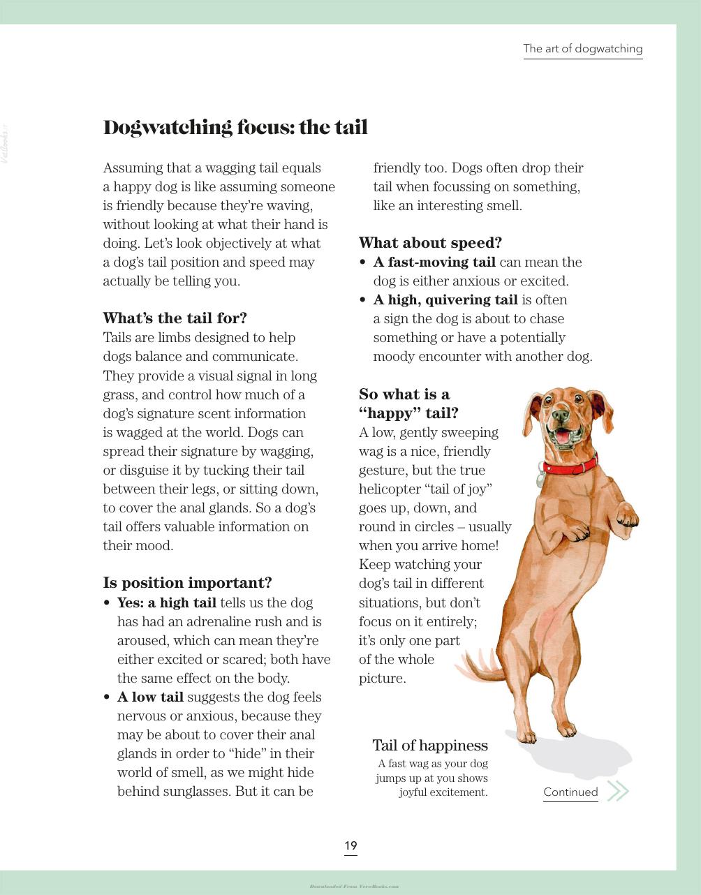 Whats My Dog Thinking Understand Your Dog To Give Them A Happy Life