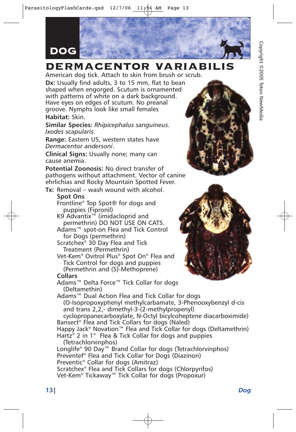 Parasitology Diagnosis And Treatment Of Common Parasitisms In Dogs And Cats