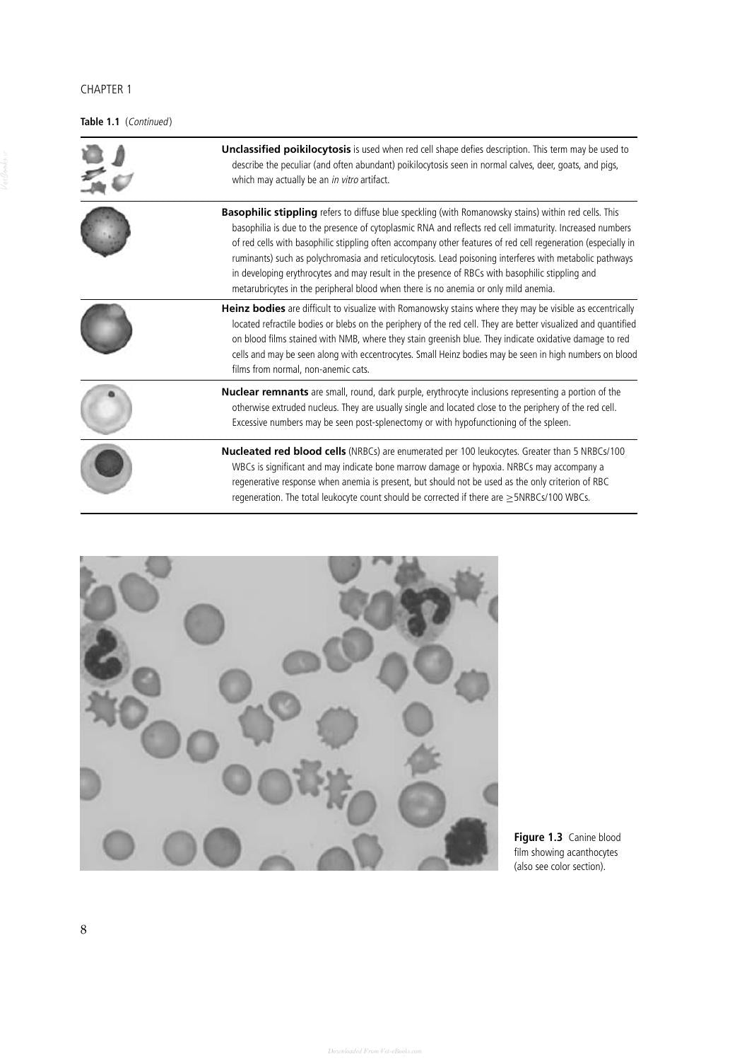 Look inside — page 19