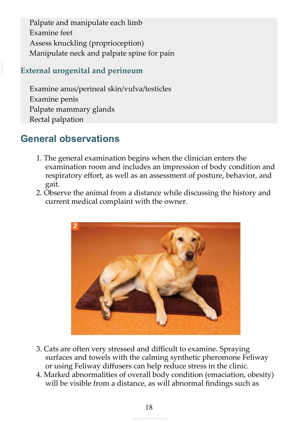 Small Animal Clinical Techniques 3Rd Edition