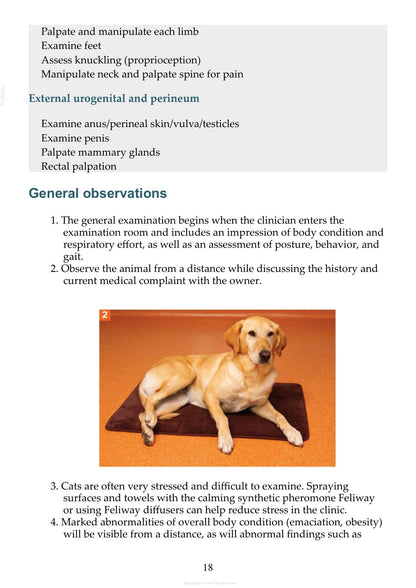 Small Animal Clinical Techniques 3rd Edition