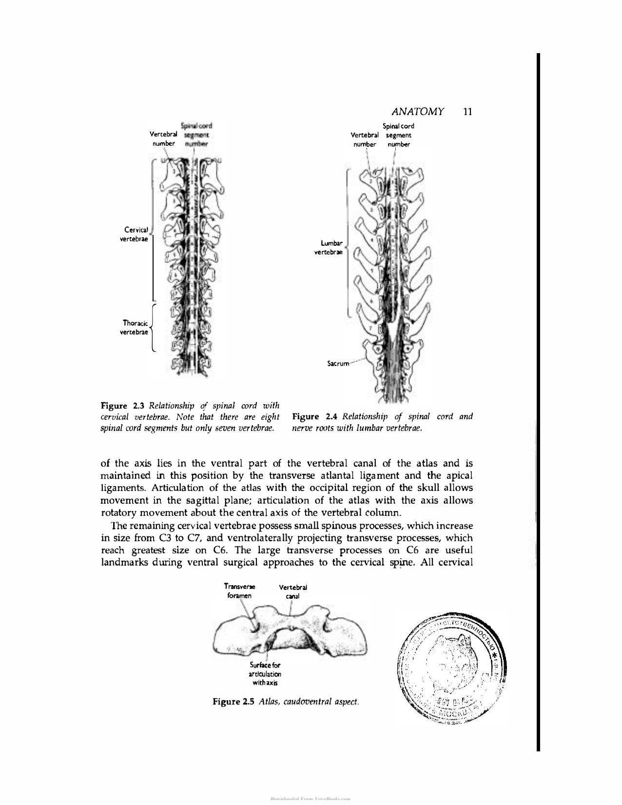 Handbook Of Small Animal Spinal Surgery