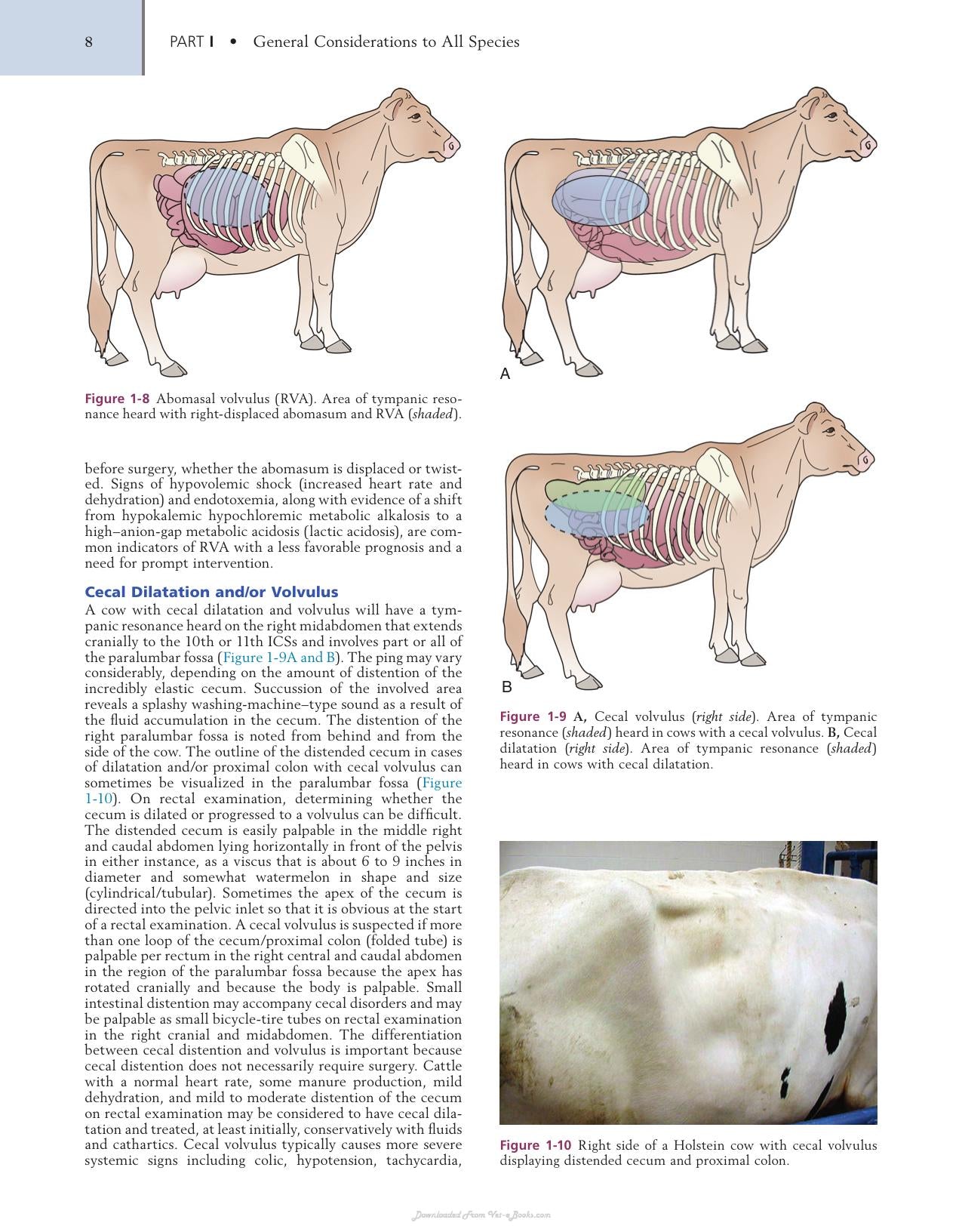 Farm Animal Surgery 2Nd Edition