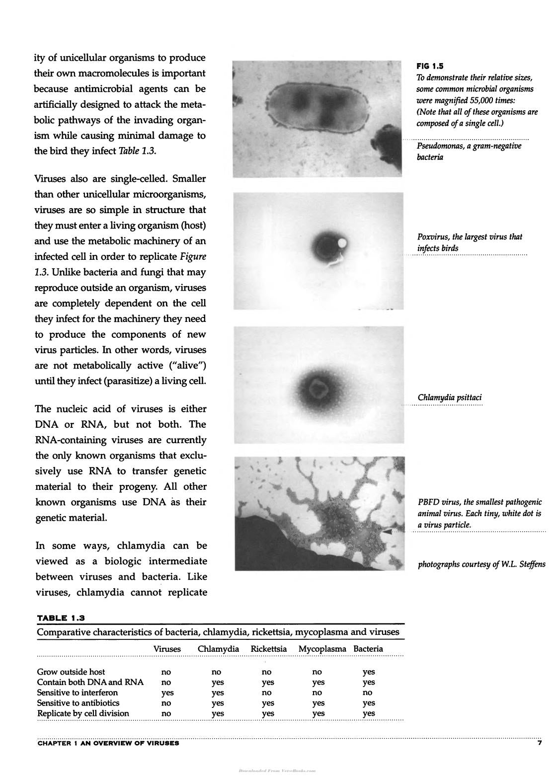Avian Viruses Function And Control