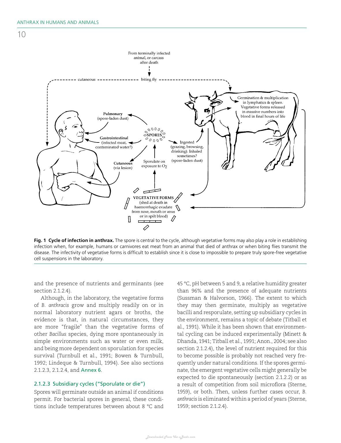 Anthrax In Humans And Animals 4Th Edition