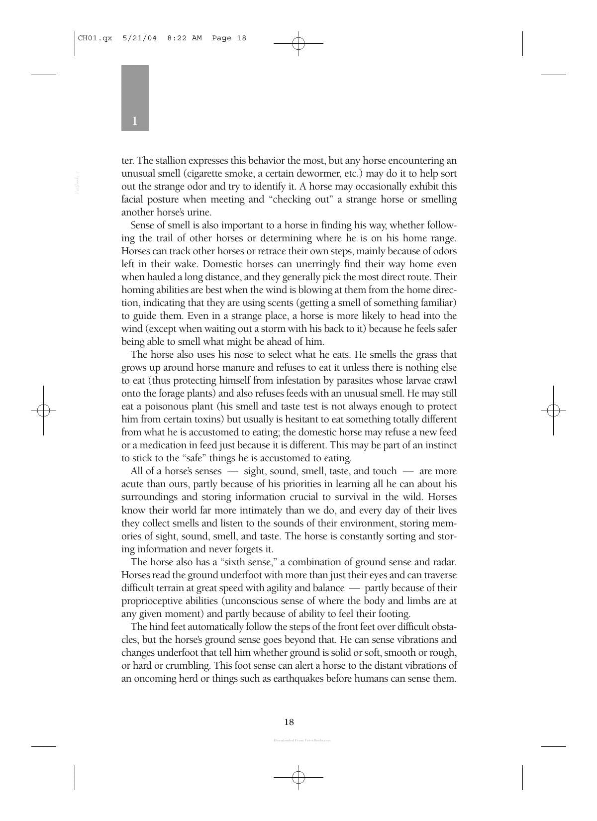Care And Management Of Horses A Practical Guide For The Horse Owner