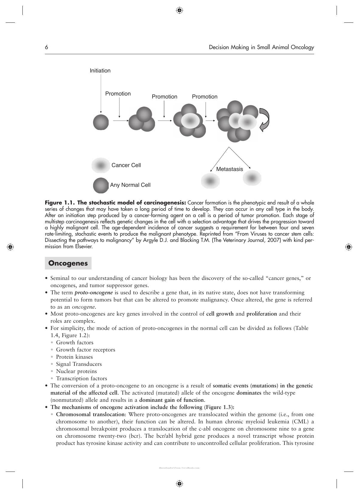Decision Making In Small Animal Oncology