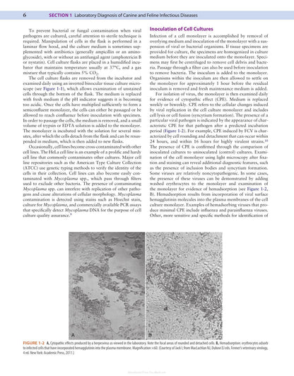 Canine and Feline Infectious Diseases