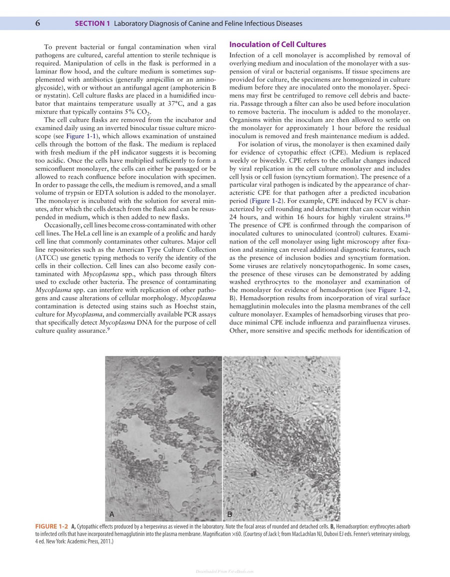 Preview page of Canine and Feline Infectious Diseases