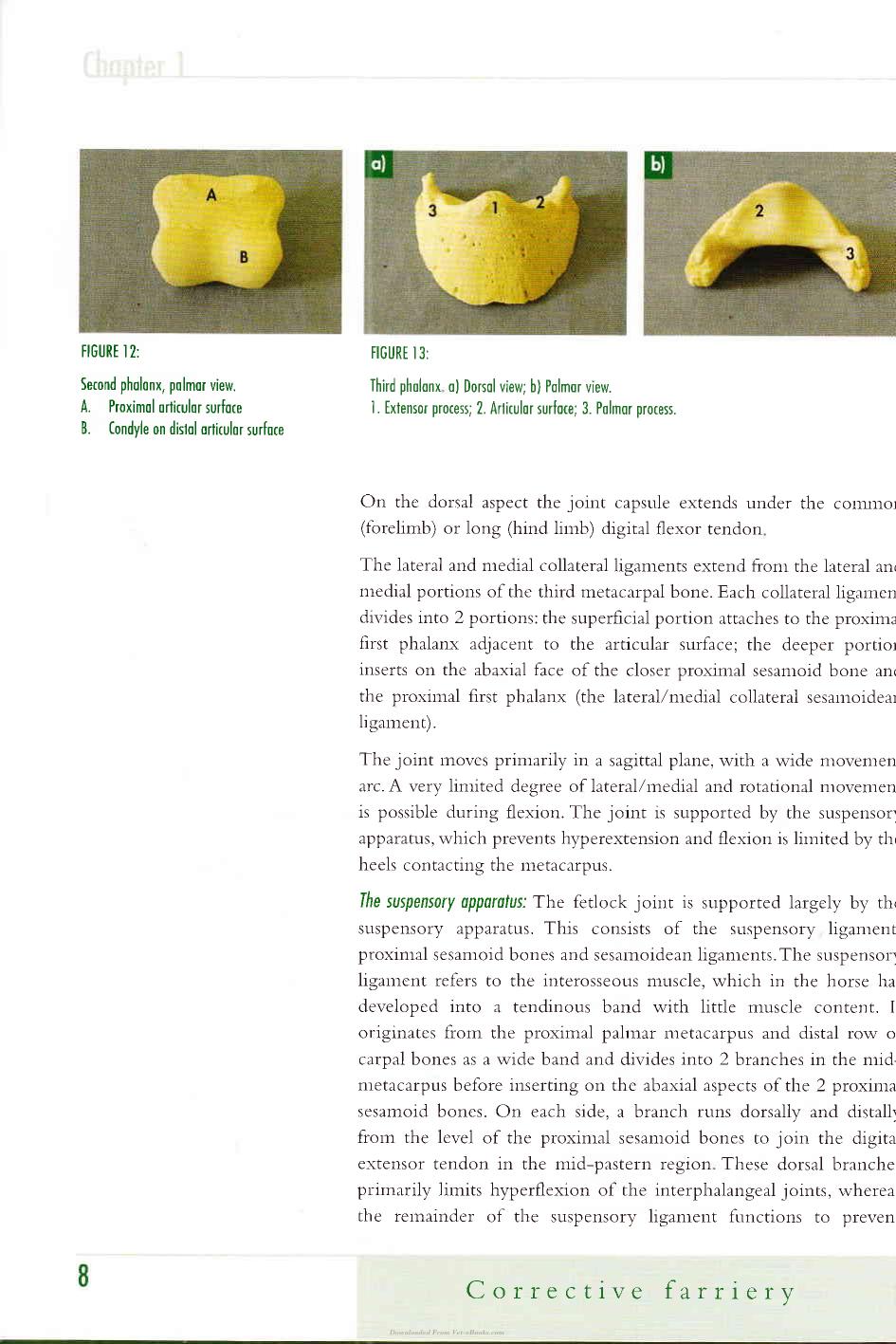 Corrective Farriery A Textbook Of Remedial Horsehoeing Volume 1
