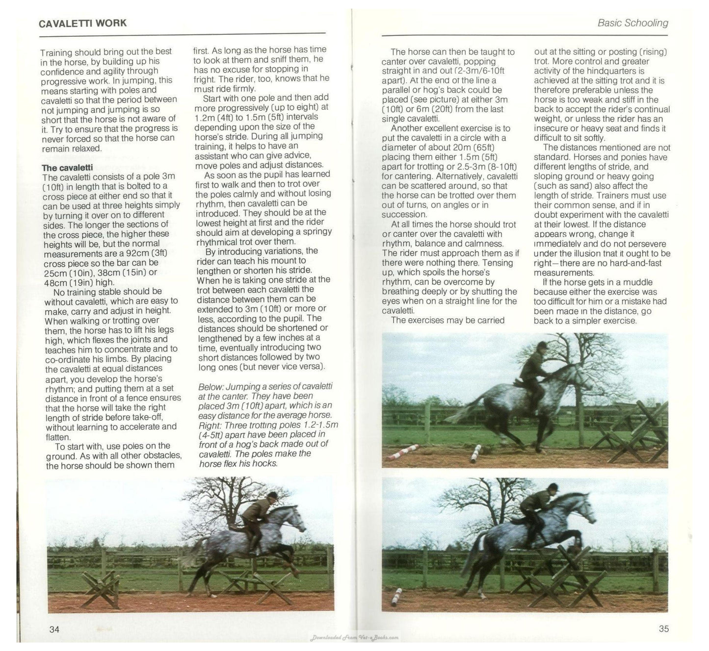 Young Riders Guide To Horse And Pony Care