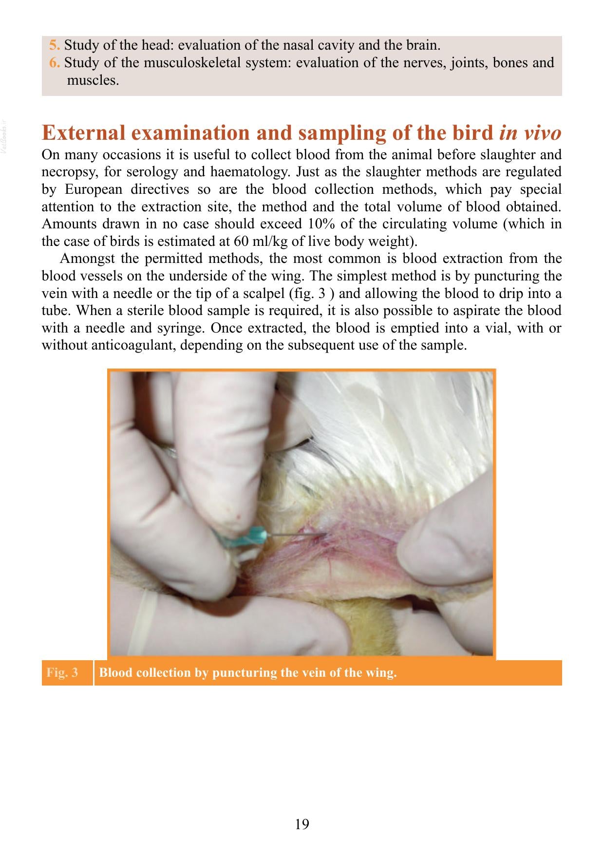 Atlas Of Avian Necropsy Macroscopic Diagnosis Sampling Updated Edition