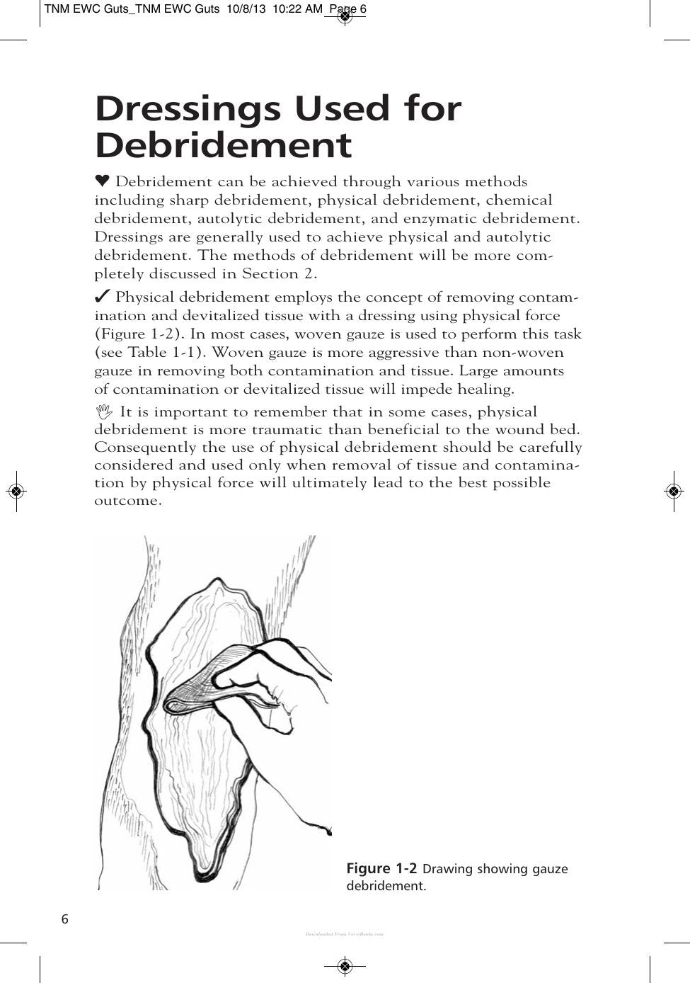Wound Care Management For The Equine Practitioner