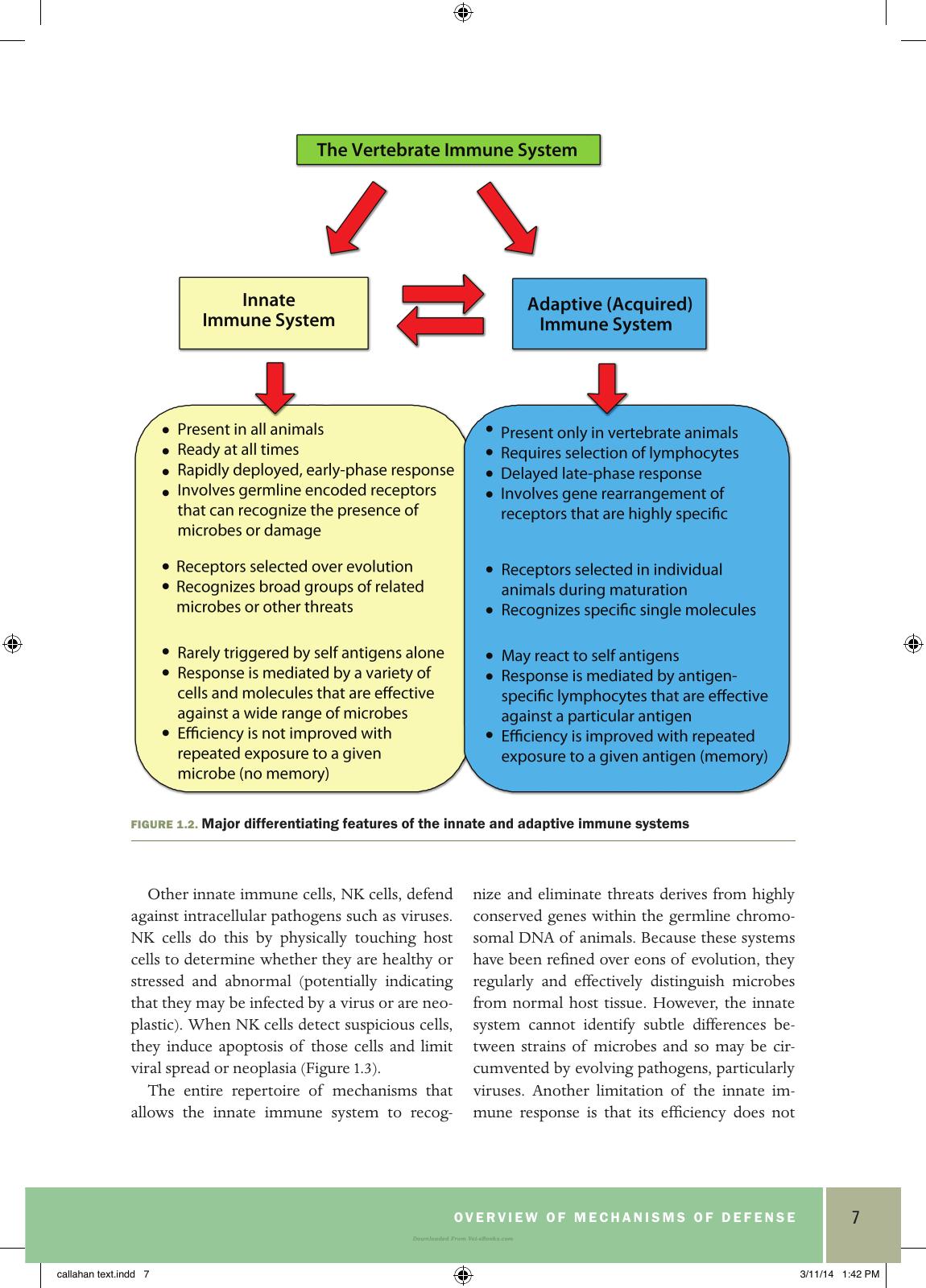 Basic Veterinary Immunology