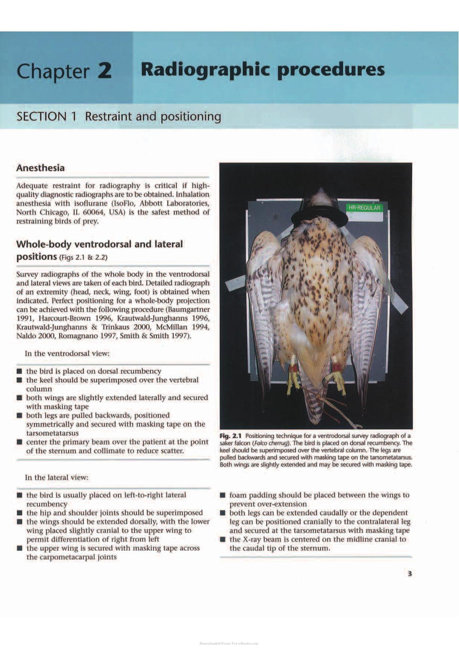 Preview page of Anatomical and Clinical Radiology of Birds of Prey