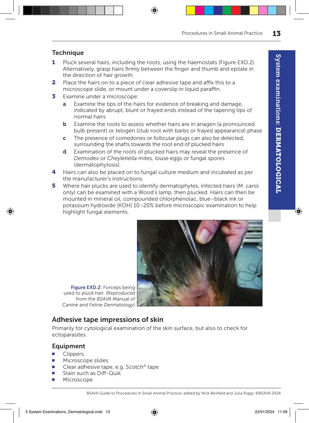 Bsava Guide To Procedures In Small Animal Practice 3Rd Edition