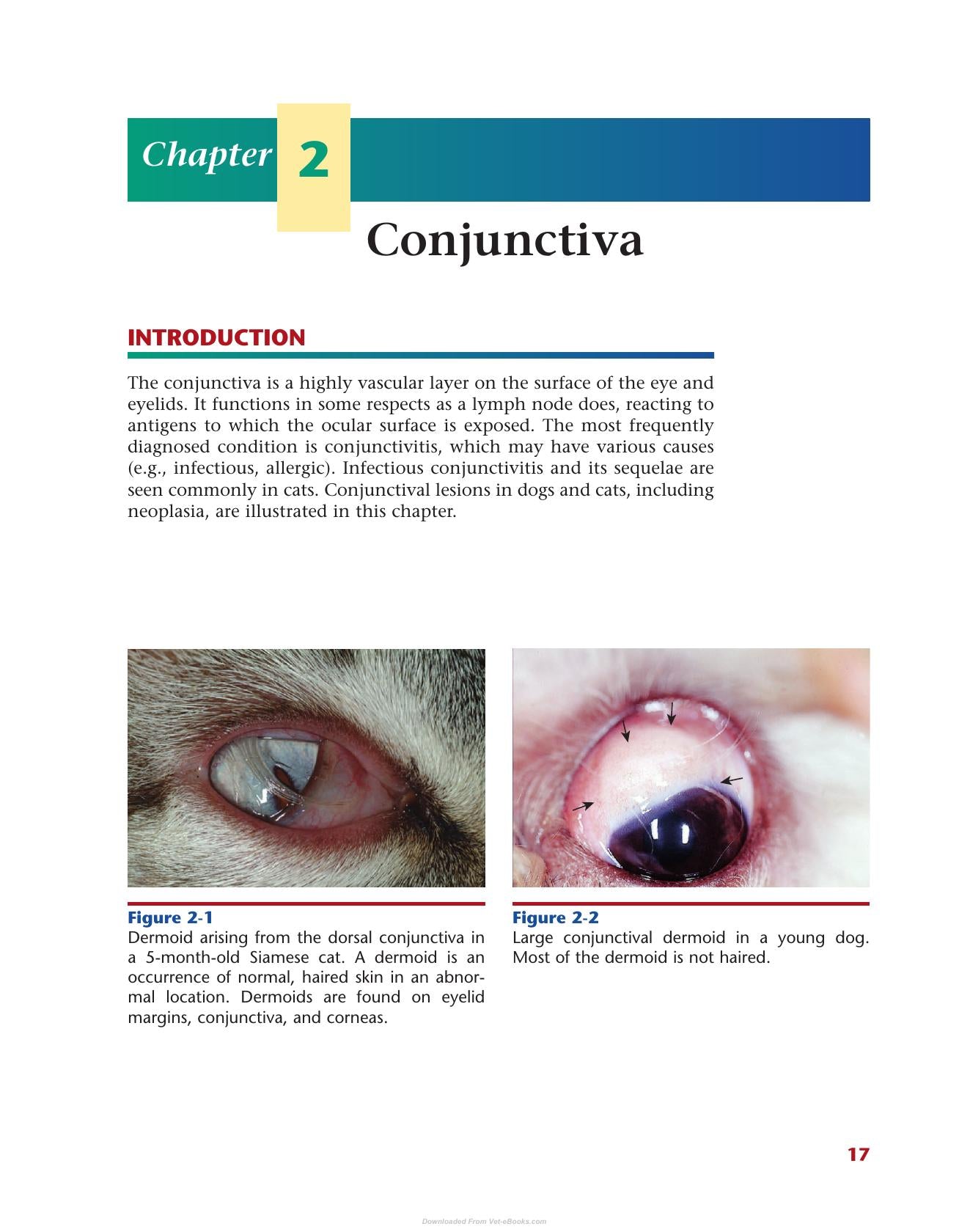 Color Atlas Of Canine And Feline Ophthalmology