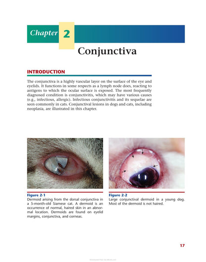 Color Atlas of Canine and Feline Ophthalmology