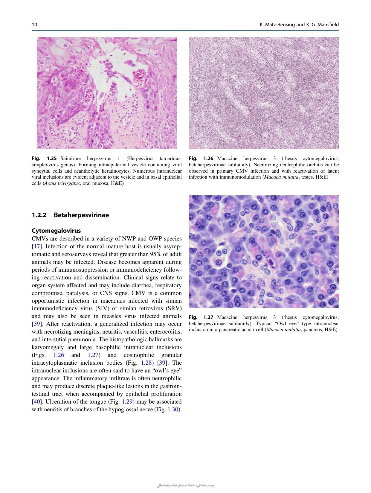 Atlas Of Diagnostic Pathology In Nonhuman Primates