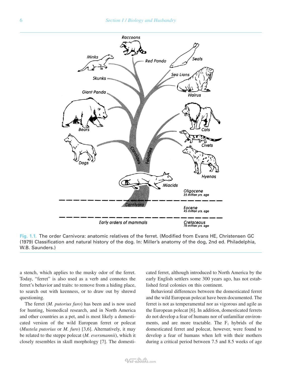 Biology And Diseases Of The Ferret 3Rd Edition