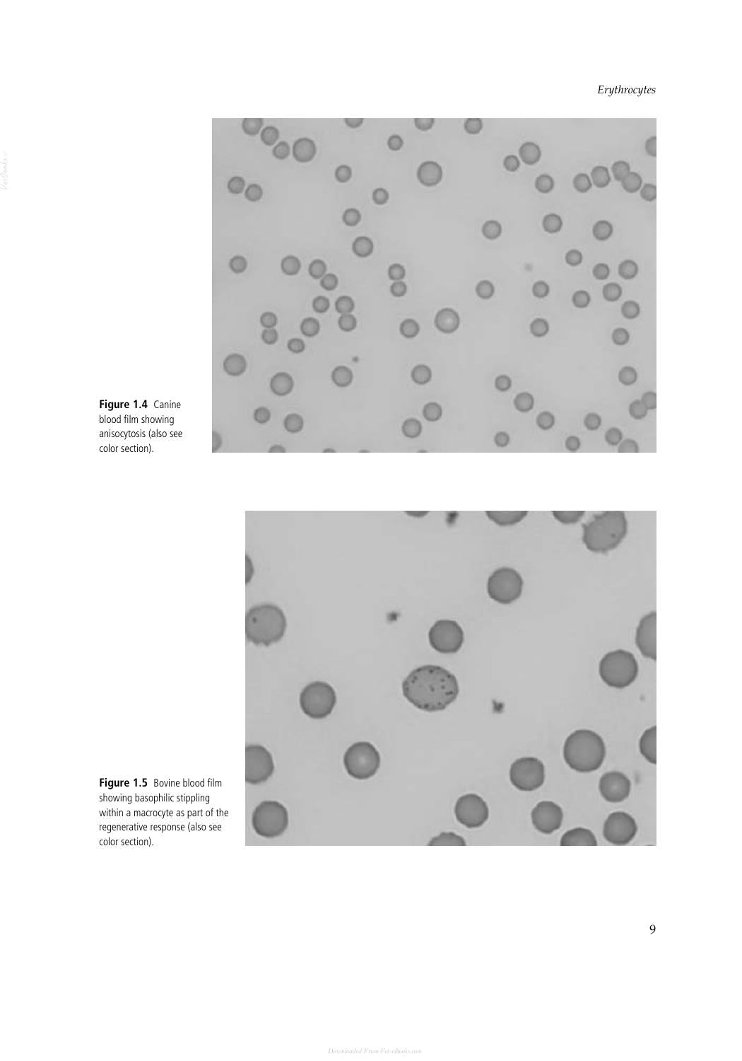 Look inside — page 20