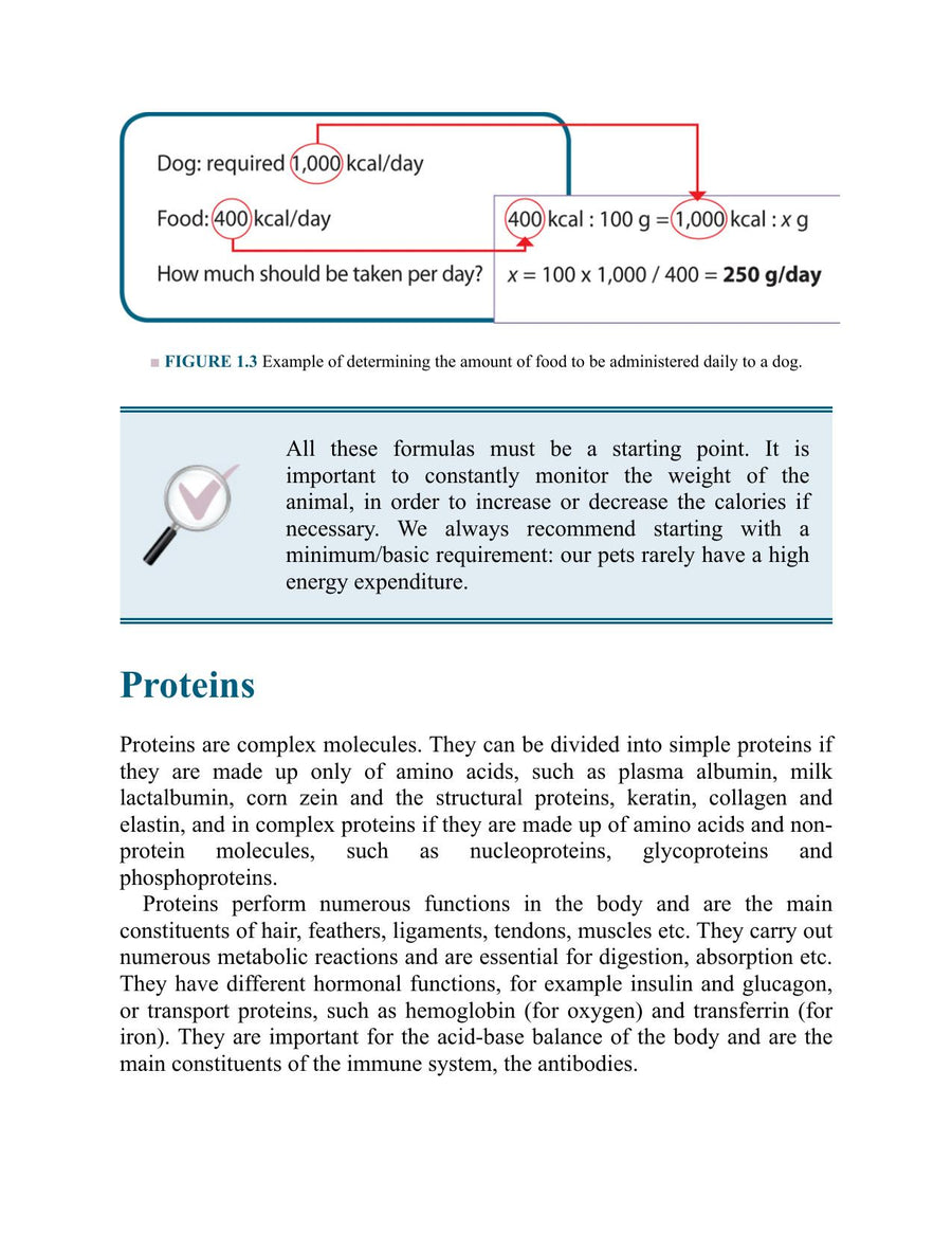 Preview page of Canine and Feline Nutrition and Dietetics a Guide for the General Practitioners
